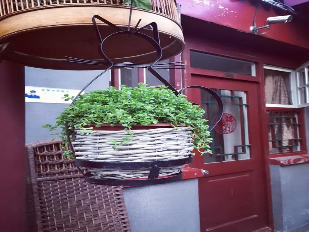 Three Legged Frog Hostel Peking  Buitenkant foto